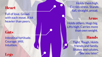 Anatomy Of Military Child .png