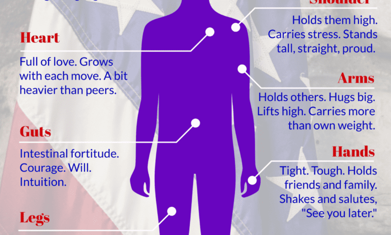 Anatomy Of Military Child .png