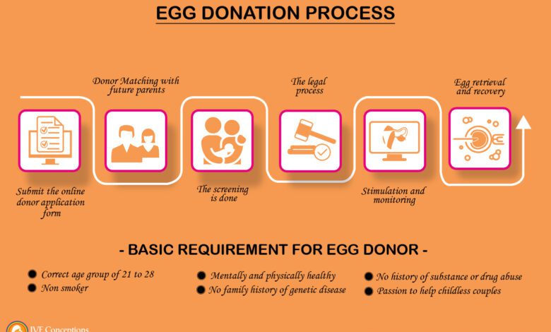 Infographic What Is Egg Donor Process.jpg