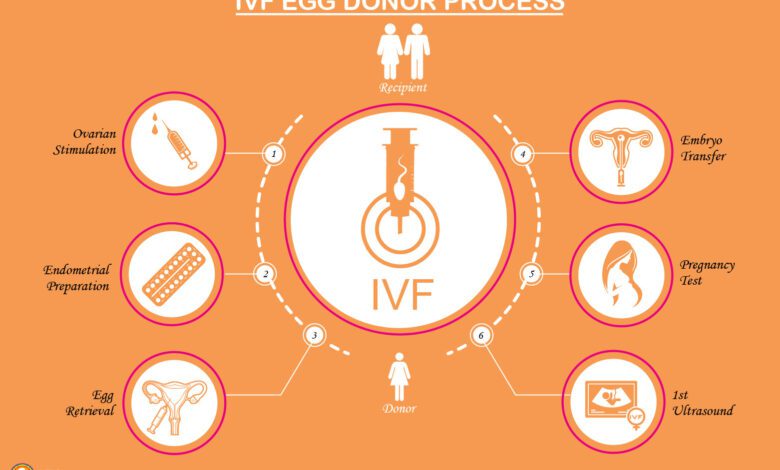Inforgrapic What Is Ivf Egg Donation Process.jpg