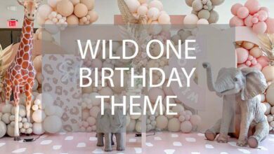 Plan A Wild One Birthday Theme.jpg