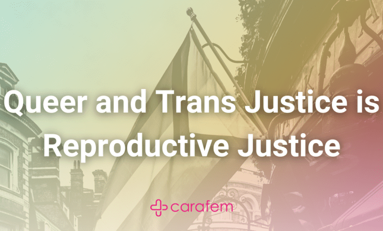 Queer And Trans Justice Is Repro Justice.png
