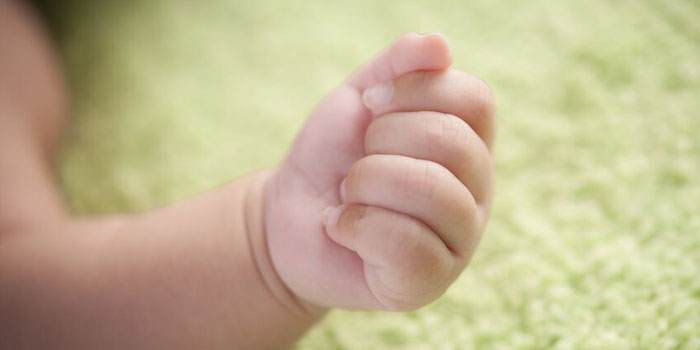 Baby Green Hand 700x350.jpg