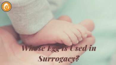 Whose Egg Is Used In Surrogacy.jpg