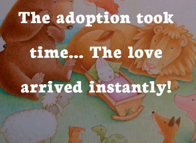 Adoption Quotes.jpg