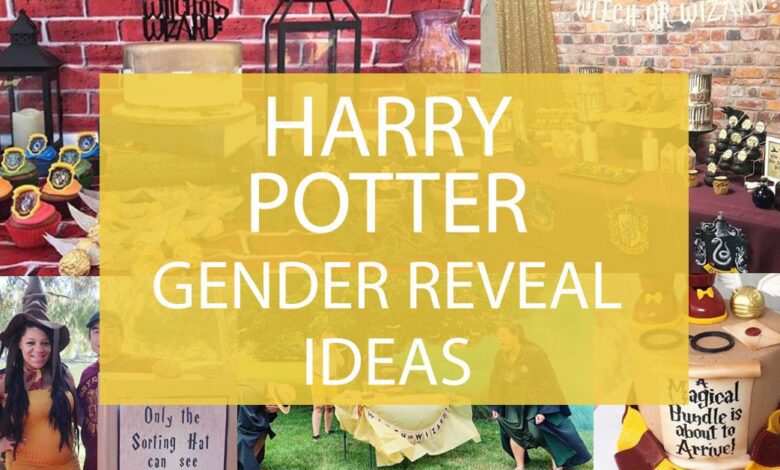 Harry Potter Gender Reveal Ideas 1.jpg