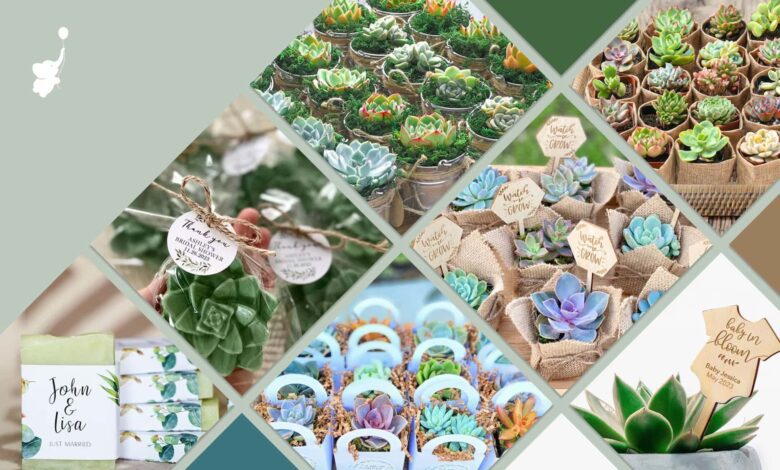 Wbs Header Image Succulent Baby Shower Favors.jpg