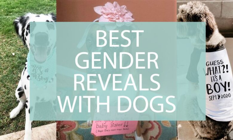 Best Gender Reveals With Dogs 1.jpg
