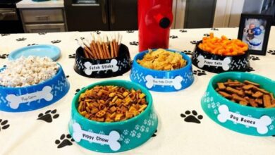 Serve Snacks And Treats In Doggy Bowls.jpg