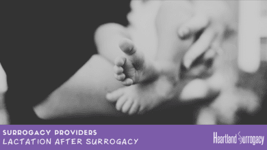 Surrogacy Providers Lactation.png