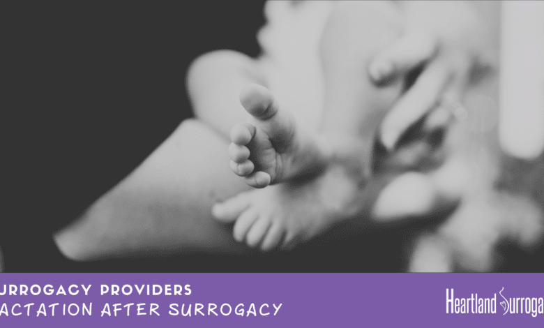 Surrogacy Providers Lactation.png